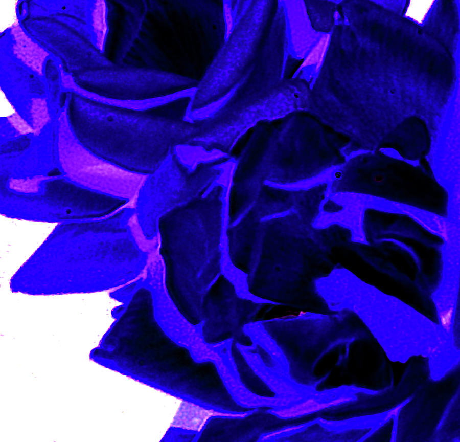Azure Blue Digital Art
