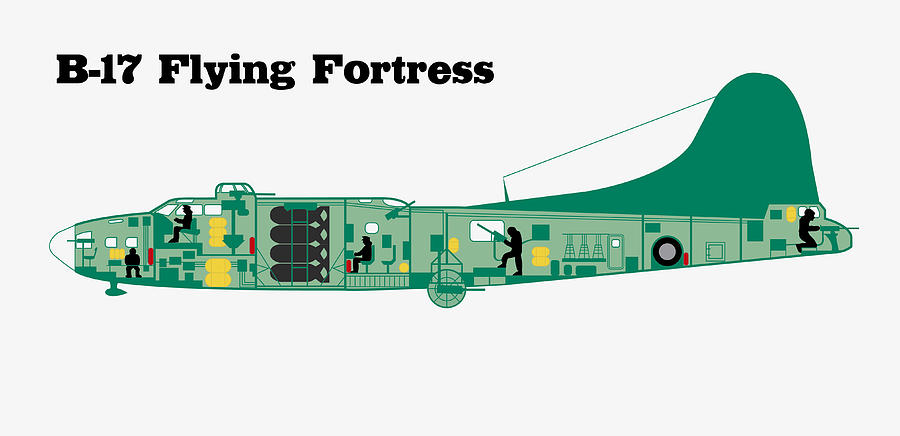 B 17 Flying Fortress Cutaway Digital Art By Matheus Reis Pixels