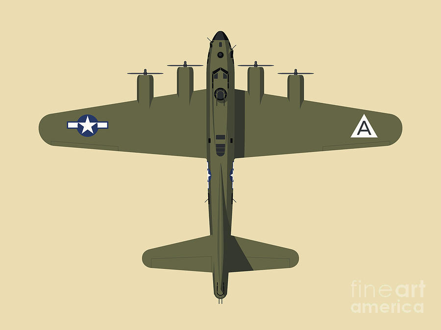 Airplane Digital Art - B-17 WWII Bomber - Olive by Organic Synthesis