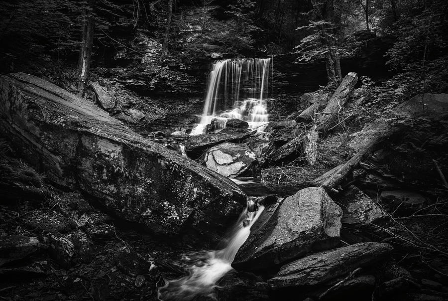 B Reynolds Falls Black And White Photograph by Dan Sproul