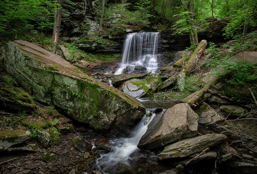 B Reynolds Falls Ricketts Glen State Park Photograph by Dan Sproul
