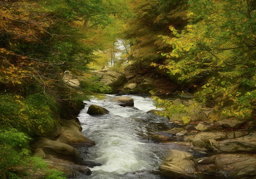 Babbling Brook In The Woods Photograph by Kathy Baccari