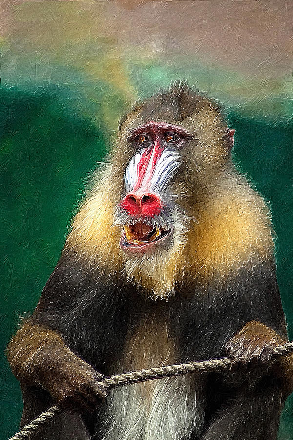 Baboon Portrait Painting by Tony Rubino