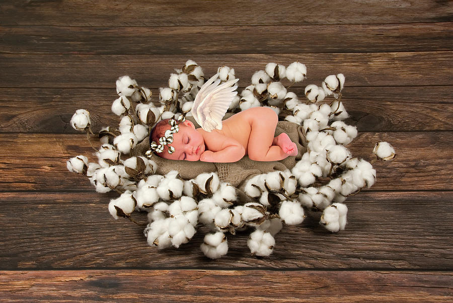 Baby Angel Sleeping Photograph by Gail Shumway - Fine Art America