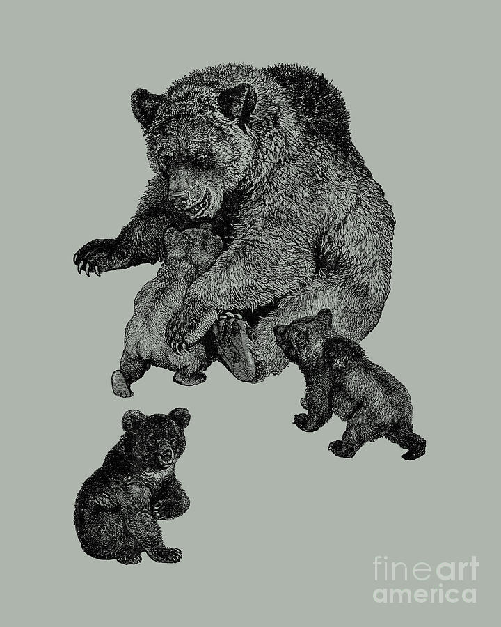 Wildlife Digital Art - Baby Bears With Mother Bear by Madame Memento