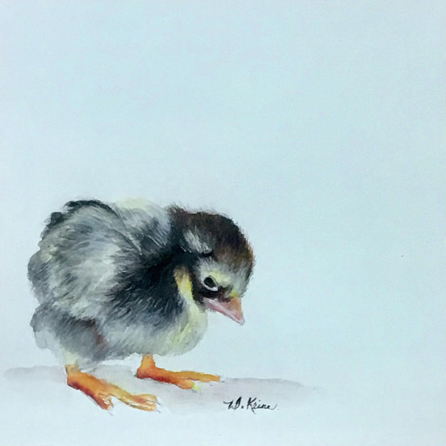 Baby Bird Drawing by Denise Kline - Fine Art America
