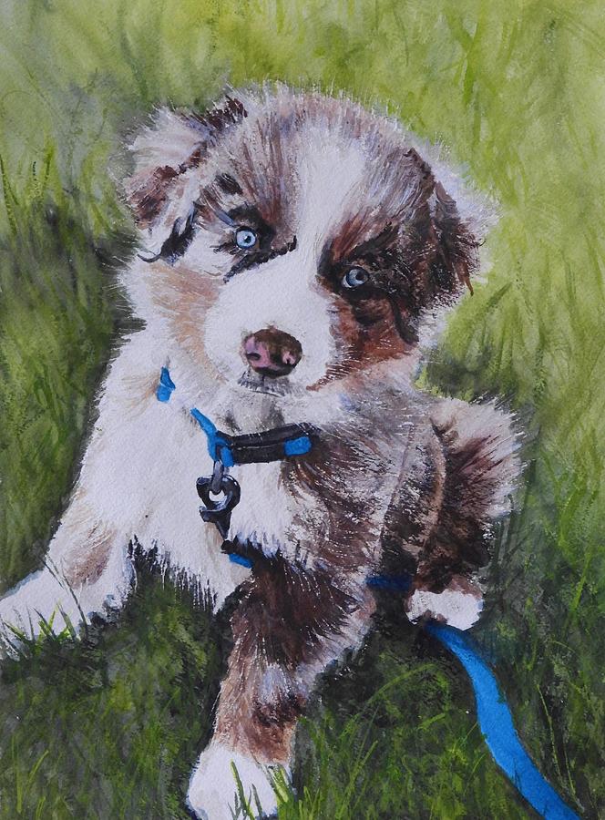 Baby Blue Eyes Painting by Betty-Anne McDonald