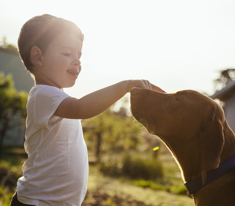 Baby boy playing with his dog Photograph by Dexter_s