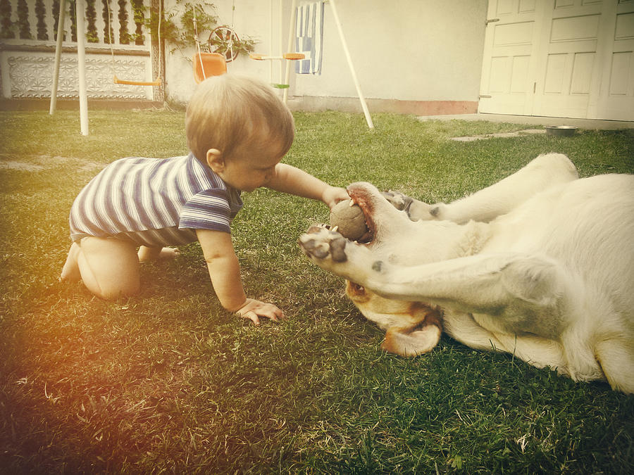 Baby boy playing with his dog in retro tones Photograph by IvanJekic