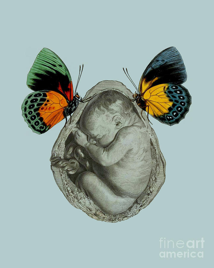 Butterfly Digital Art - Baby Boy With Butterflies by Madame Memento