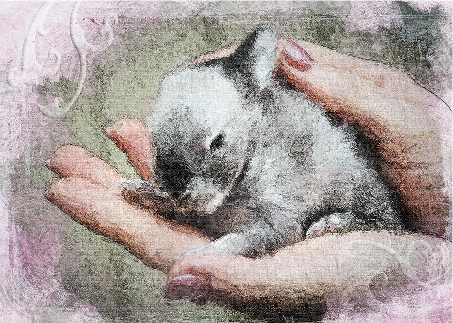Baby Bunny Mixed Media by Moira Law