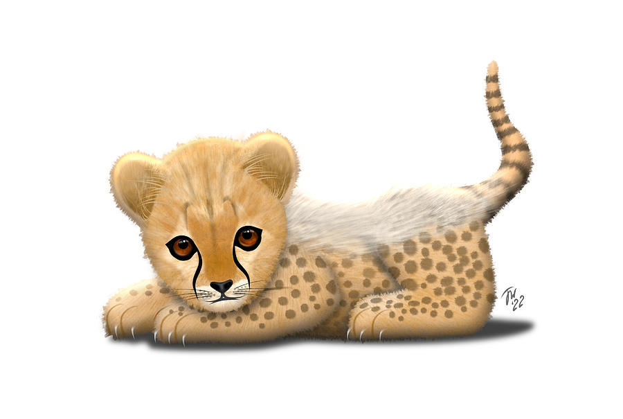 Baby Cheetah png no background for products Digital Art by John Wills