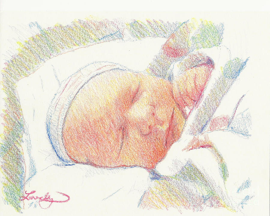Baby Denny Drawing by Candace Lovely
