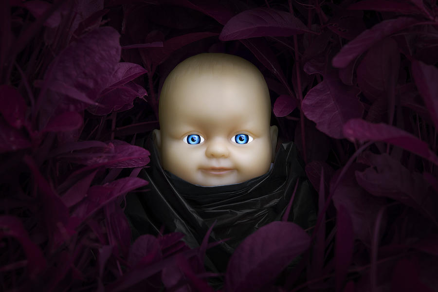 Baby doll wearing black dress stay in the thick growth of grass Photograph by Suchart Kuathan Baby doll wearing black dress stay in the thick growth of grass Photograph by Suchart Kuathan