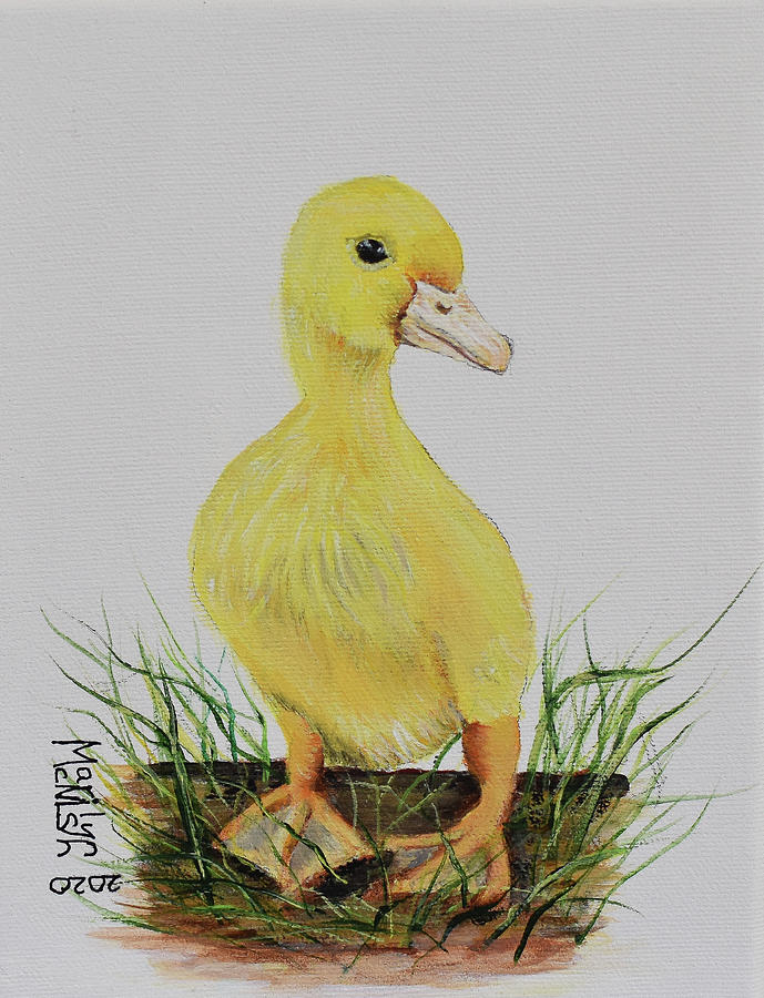 Baby Duckling 2 Painting by Marilyn McNish
