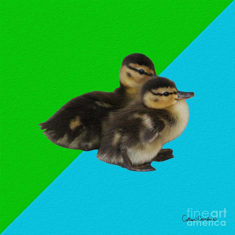 Baby Ducks 1 on Grass Green and Sky Blue Photograph by Colleen Cornelius