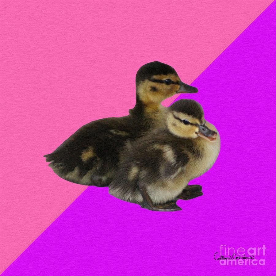 Baby Ducks on Pink Raspberry and Purple Sorbet Photograph by Colleen Cornelius