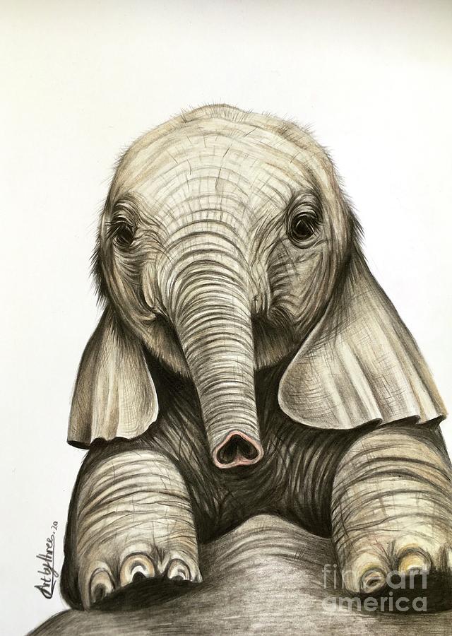 I drew a baby elephant! : r/babyelephants