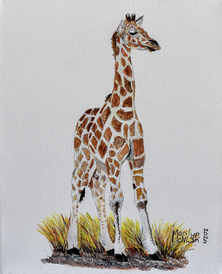 Baby Giraffe 2 Painting by Marilyn McNish