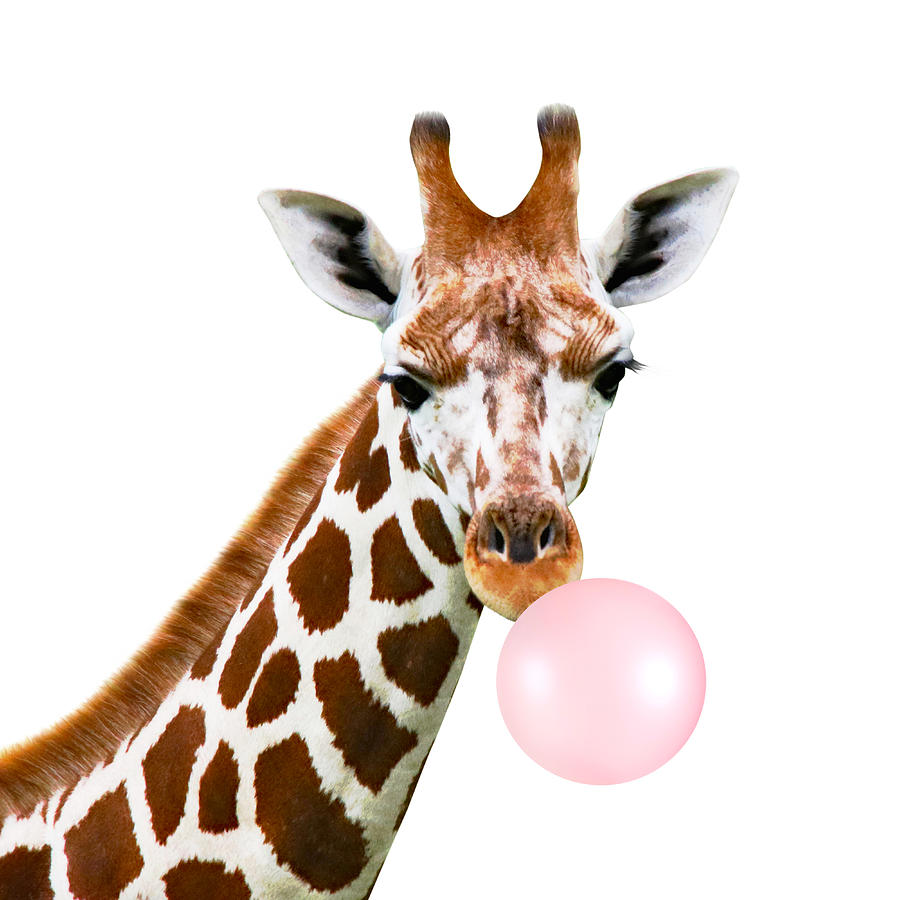 Baby giraffe with bubble gum Digital Art by Mihaela Pater - Pixels