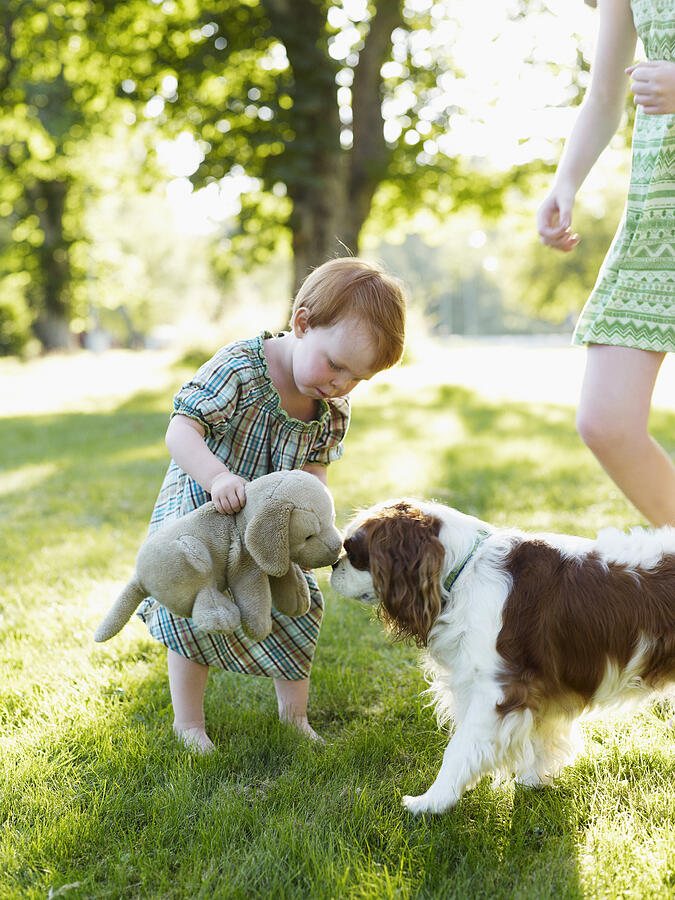 Baby girl and older sister playing with dog in park Photograph by Johner Images