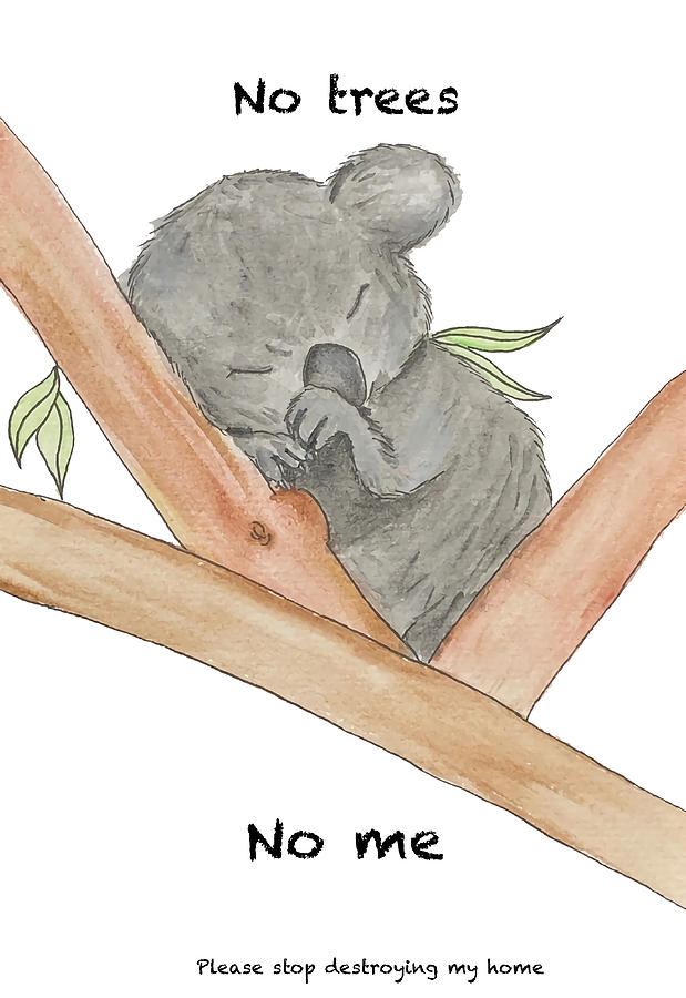 Baby Koala No Trees No Me Save the Koalas Poster Painting by Butler ...