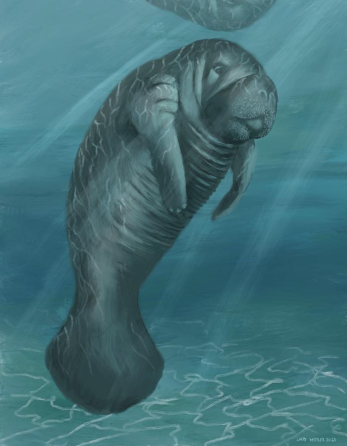 Baby Manatee Painting by Larry Whitler