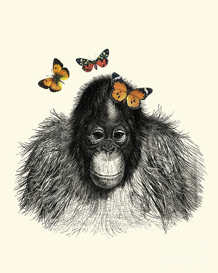 Baby monkey with orange butterflies Digital Art by Madame Memento