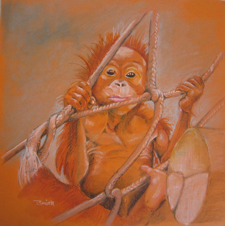 Baby Orangutan Pastel by Teresa Smith