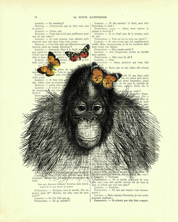 Butterfly Digital Art - Baby orangutang with butterflies by Madame Memento