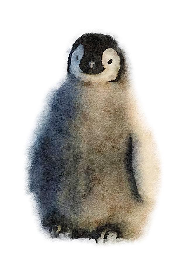 Baby penguin Painting by Kath Sapeha - Fine Art America