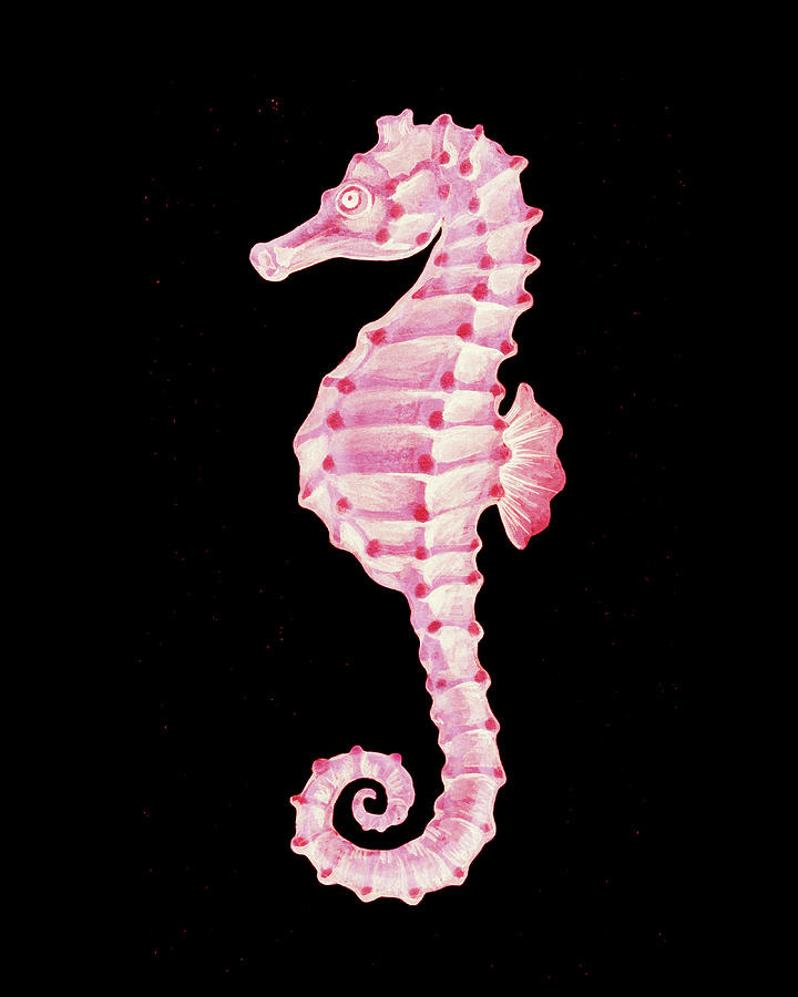 Baby Pink Seahorse Watercolor On Black Painting
