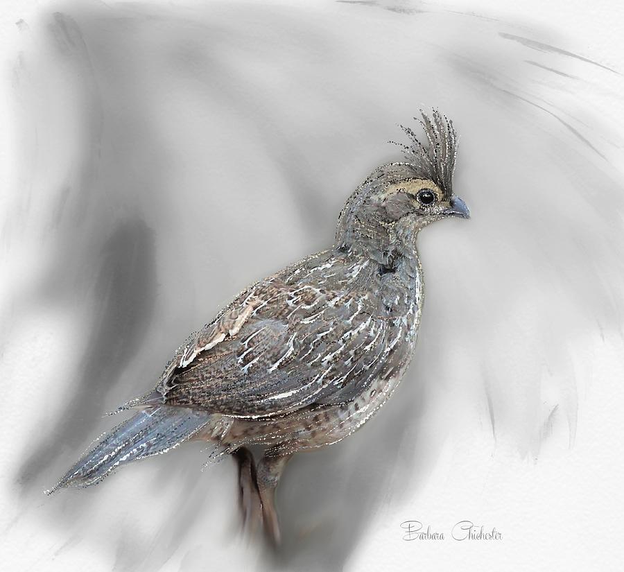 Baby Quail Art Mixed Media by Barbara Chichester