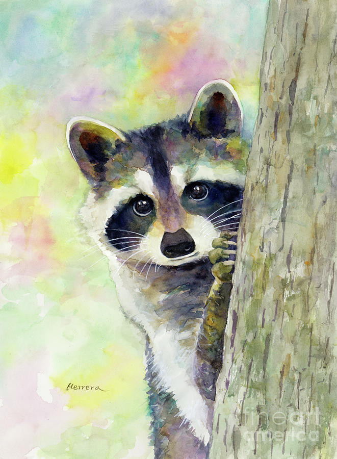 Baby Raccoon Peeking Painting