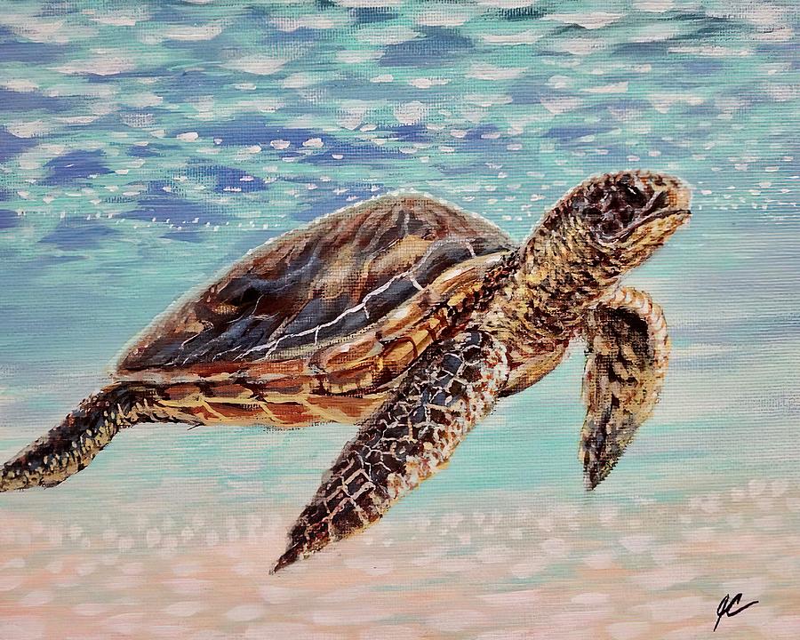 Baby Sea Turtle Painting by Joseph Cantin - Fine Art America