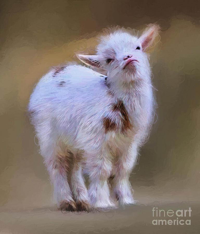 Baby Sheep Painting By Gull G Fine Art America   Baby Sheep Gull G 