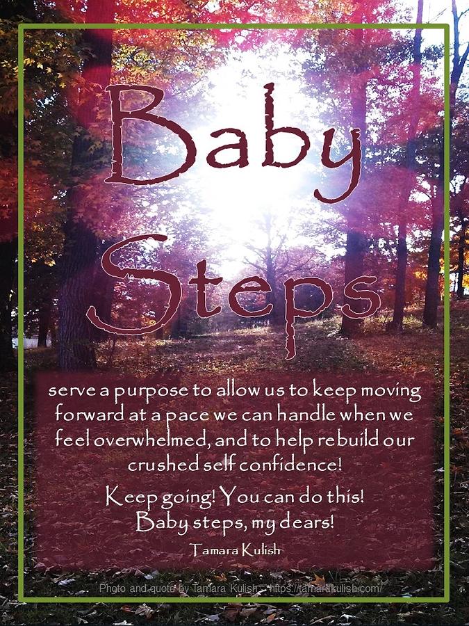 Baby steps serve a purpose Photograph by Tamara Kulish
