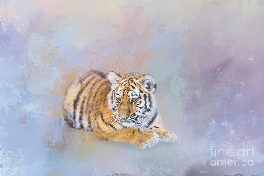Wildlife Mixed Media - Baby Tiger One Two by Elisabeth Lucas