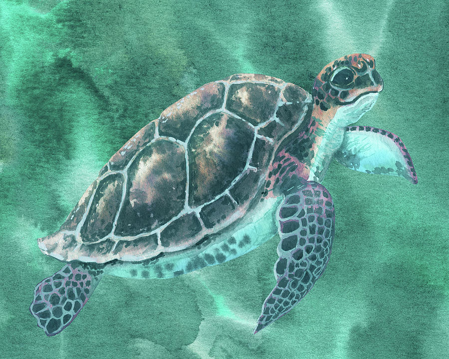 Baby Turtle In Teal Blue Green Waters Watercolor Painting by Irina Sztukowski