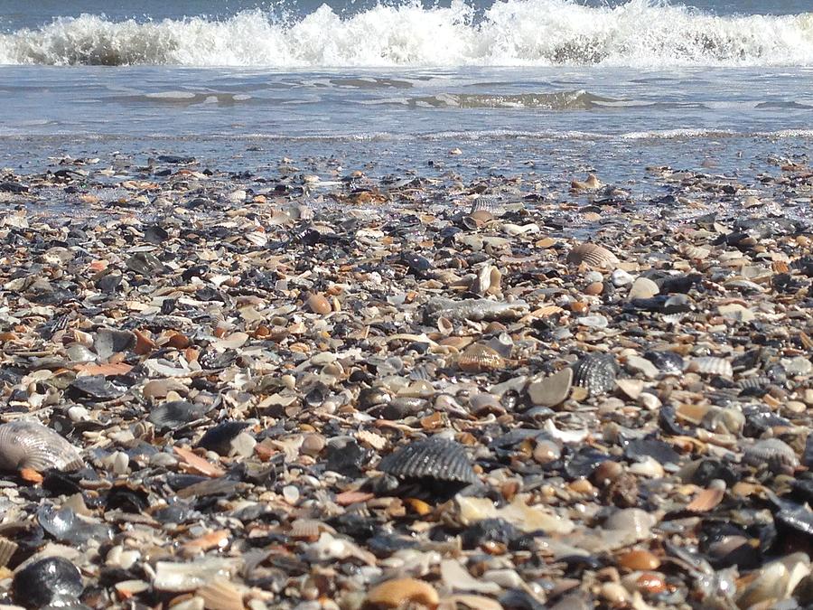 Baby Wave Photograph by Matthew Moore - Fine Art America