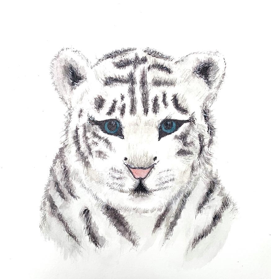 Baby White Tiger by Jelena Sparica