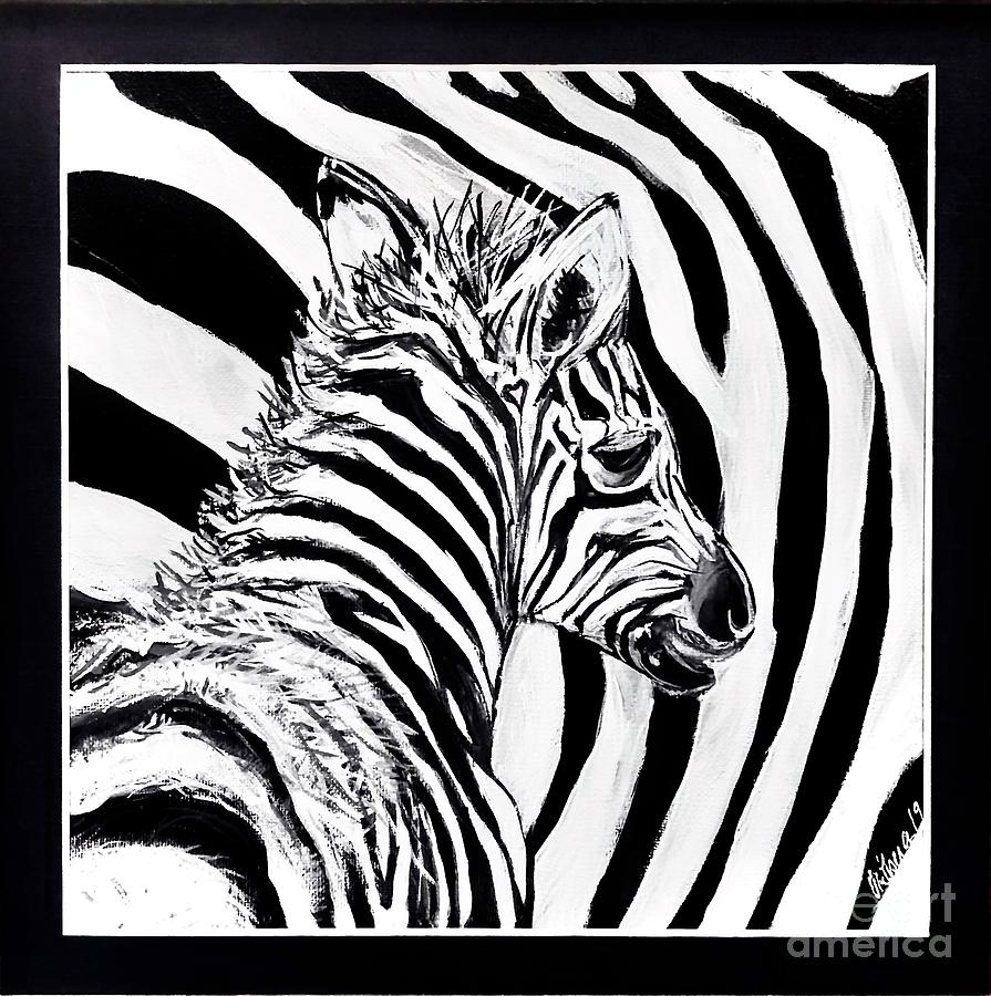 Baby Zebra Painting by Connie Ortberg - Fine Art America