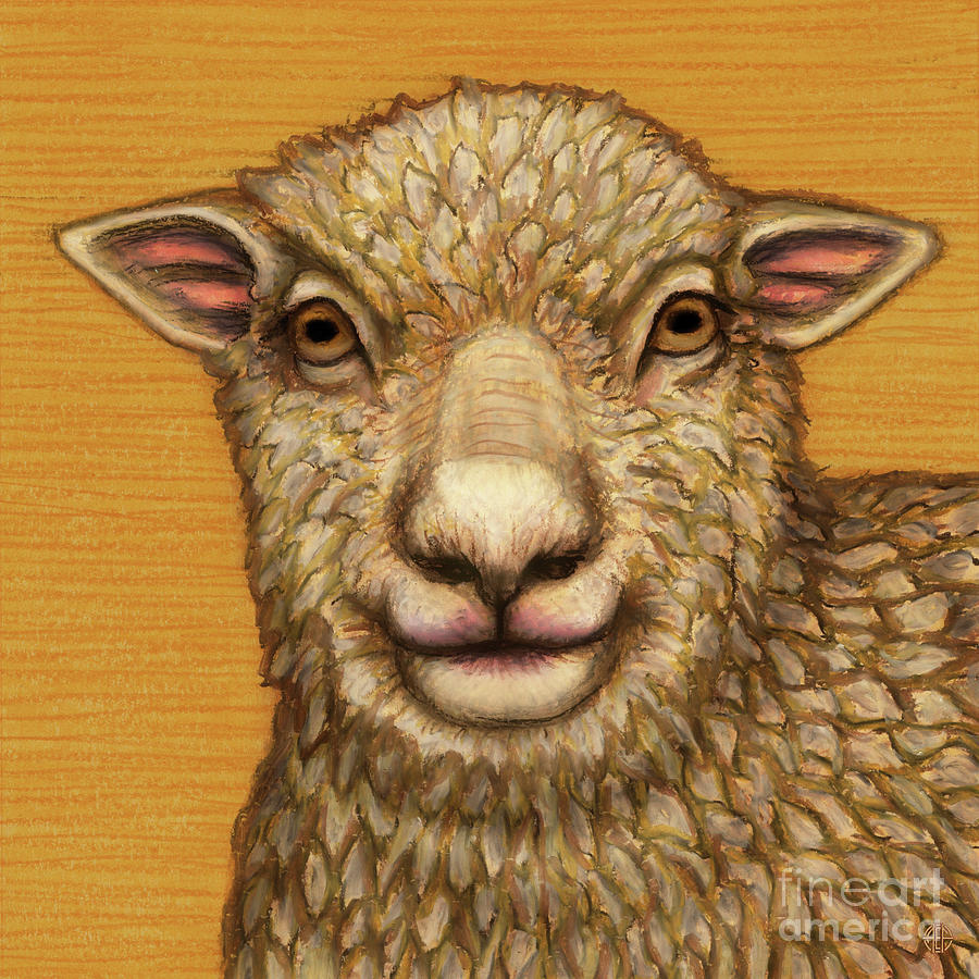 Babydoll Southdown Sheep  Painting by Amy E Fraser