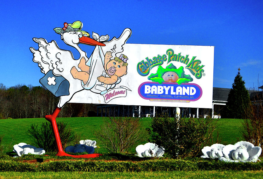 Babyland General - Cleveland Georgia 001 Photograph By George Bostian