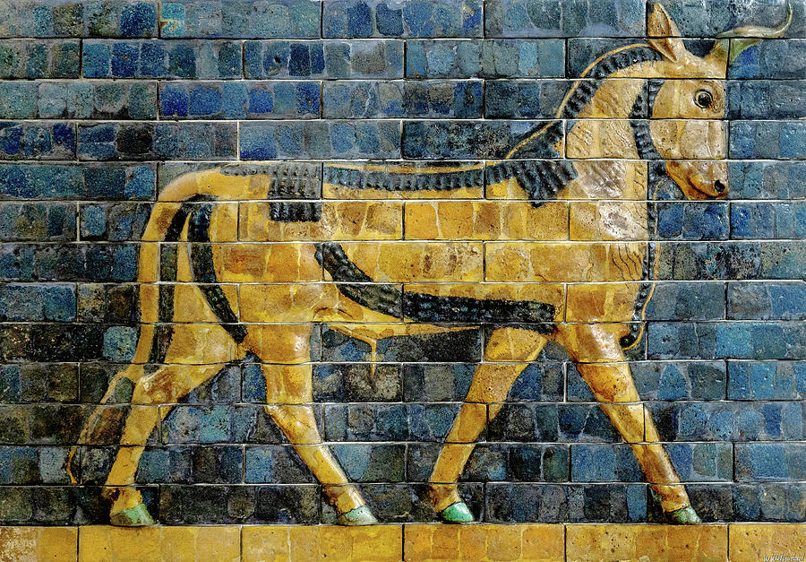 Babylonian Aurochs 02 Photograph by Weston Westmoreland