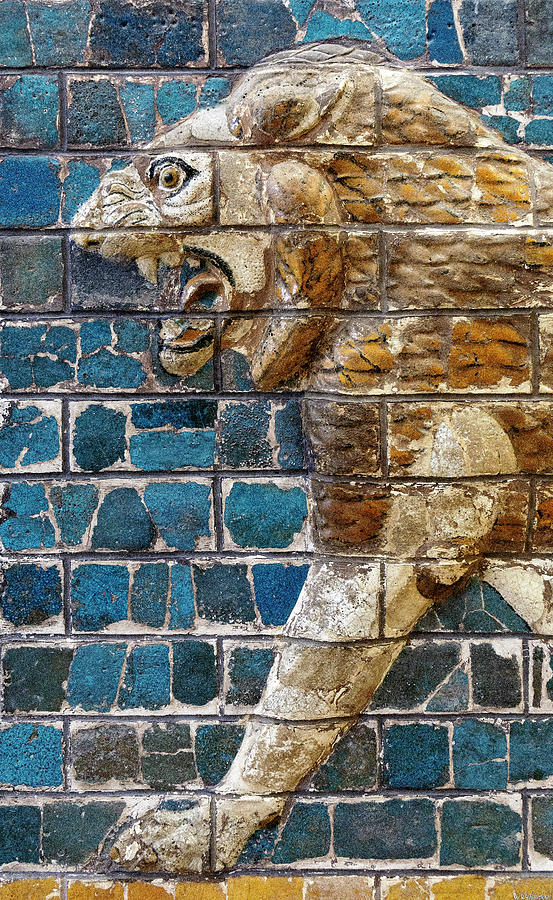 Babylonian Lion 03 Photograph by Weston Westmoreland