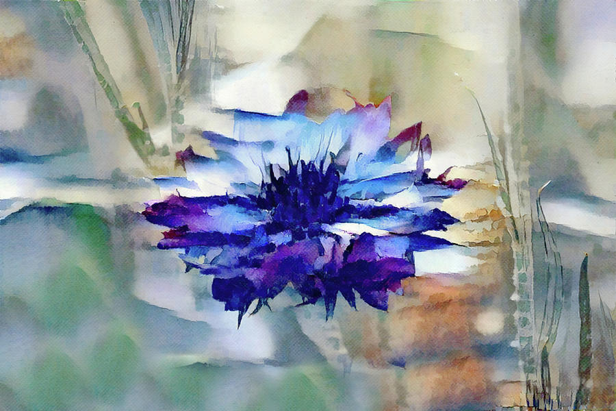 Bachelor Button Flower Watercolor Fantasy Digital Art by Gaby Ethington