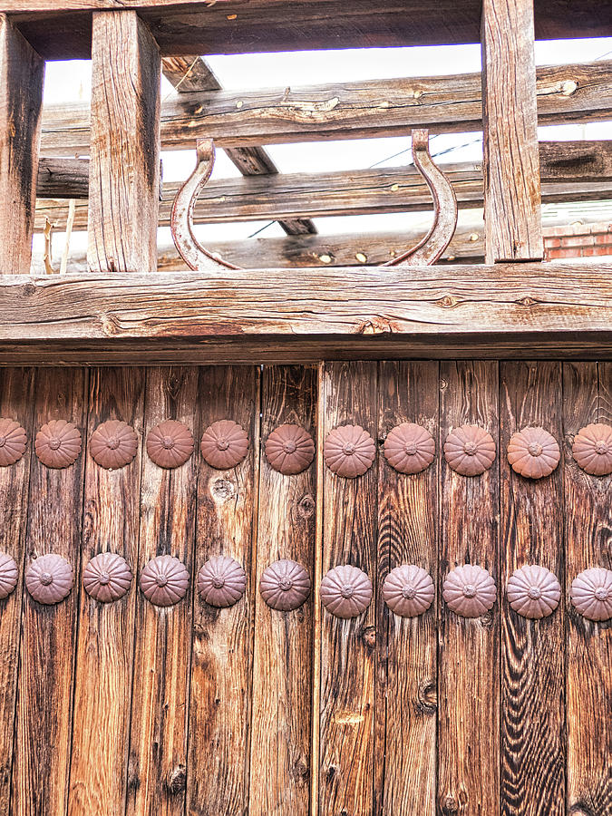 Back Alley gate detail Photograph by Segura Shaw Photography