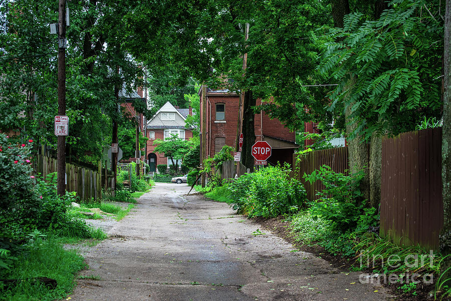 Back Alley in Old Louisville in Summer Photograph by Gary Whitton
