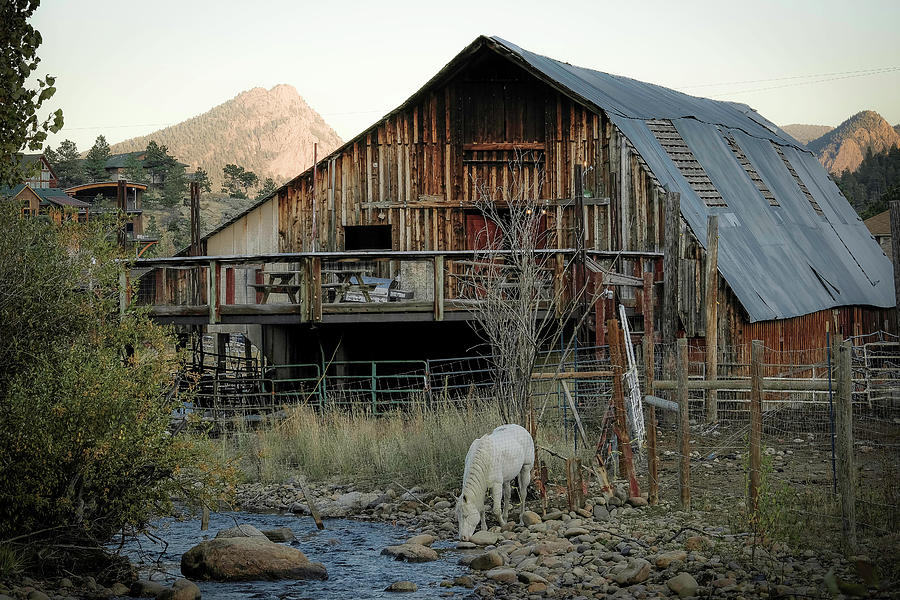 Back at the Barn Photograph by David Jennings - Fine Art America